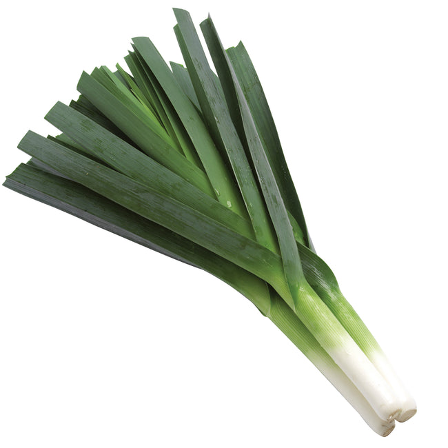 Bunch of green megaton leeks on a white background