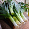 Megaton leeks on a wooden surface with some sliced leeks