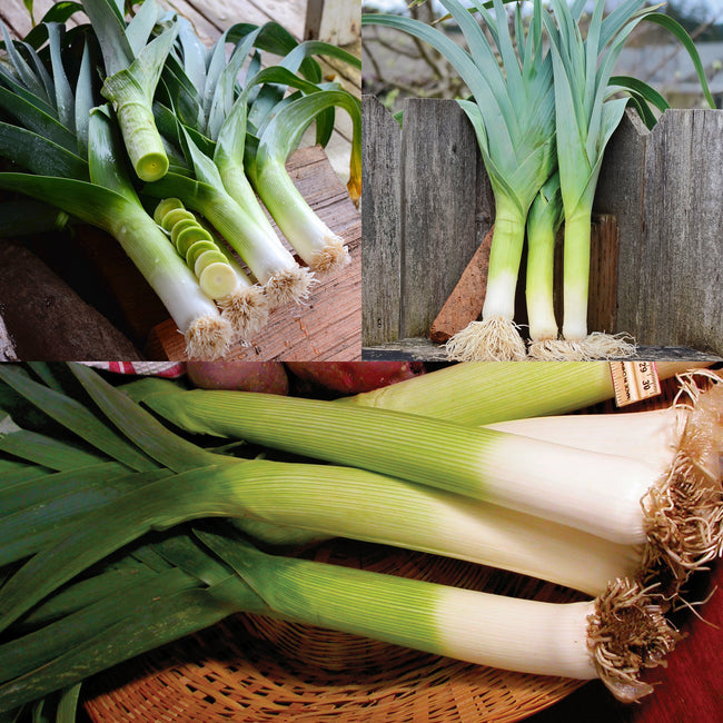 Collage of succession leeks on a wooden surface and in a basket.