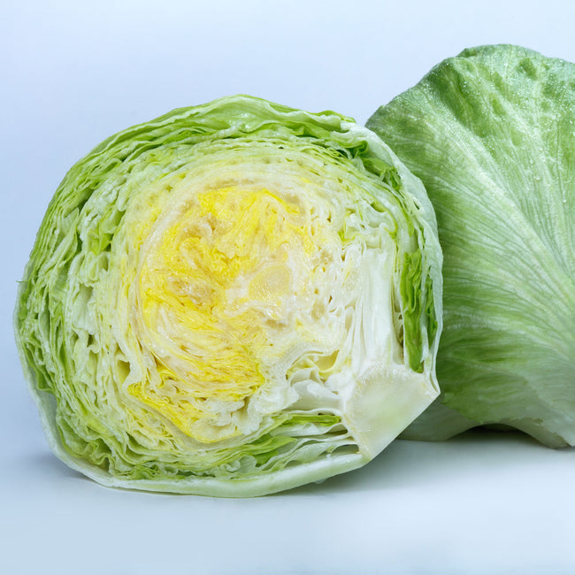 Three quarter view of Regency 3.0 lettuce head cut in half showcasing dense pale green crisp interior on white background