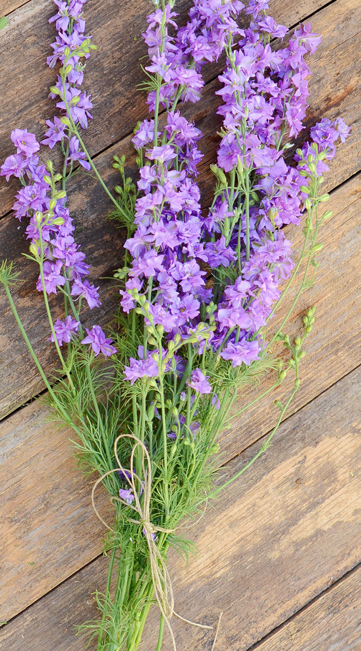 Bouquet of purple Larkspur flowers tied with twine on a wooden surface