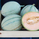 Front view of Melonade melons in a wooden tray, one cut open to show orange flesh and netted greenish rind