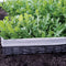 Close-up of Uber arugula leaves showcasing tender serrated green leaves in a wooden planter