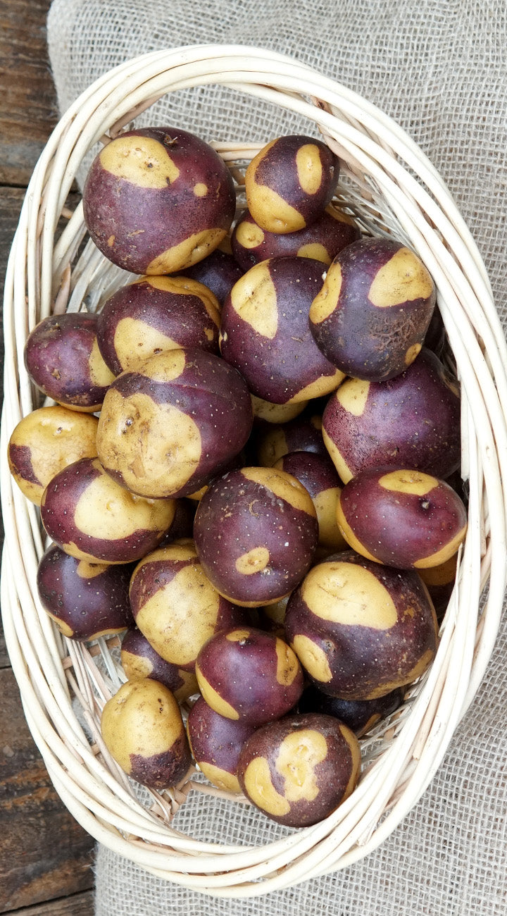 Basket of purple and yellow potatoes on a textured surface