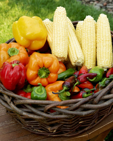 Basket of colorful peppers and corn on a wooden surface with grass in the background