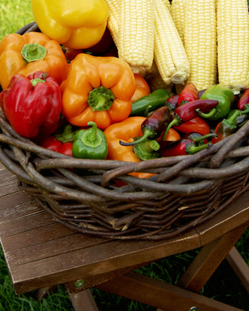 Basket of colorful peppers and corn on a wooden table outdoors