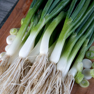 Close-up of Marksman salad onions showcasing white, easy-to-peel shanks and dark green foliage on white background