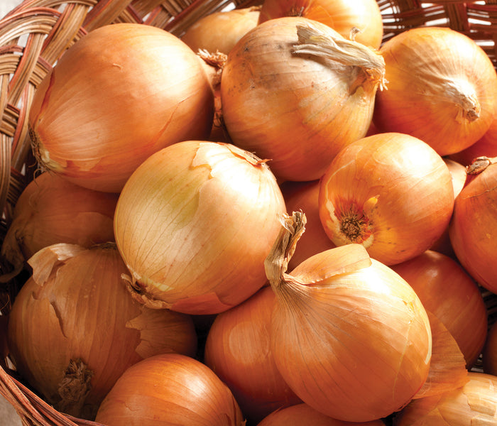 Close-up of Hi-Keeper onions in a woven basket showcasing smooth golden-tan skin and round storage bulbs