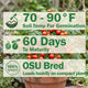 Oregon Cherry Tomato