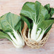 KING CHOI-PAK CHOI