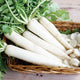 Bunch of Minowase Summer Cross No 3 daikon radishes showing long white tapered roots and leafy green tops on wooden surface