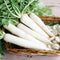 Bunch of Minowase Summer Cross No 3 daikon radishes showing long white tapered roots and leafy green tops on wooden surface