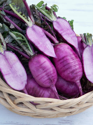 Basket of purple sweet baby daikon  radishes on a white background