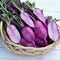 Basket of purple sweet baby daikon  radishes on a white background