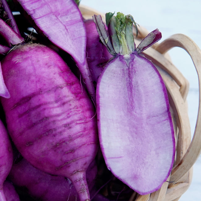Close-up of purple sweet baby daikon radishes with a wooden basket on a white background