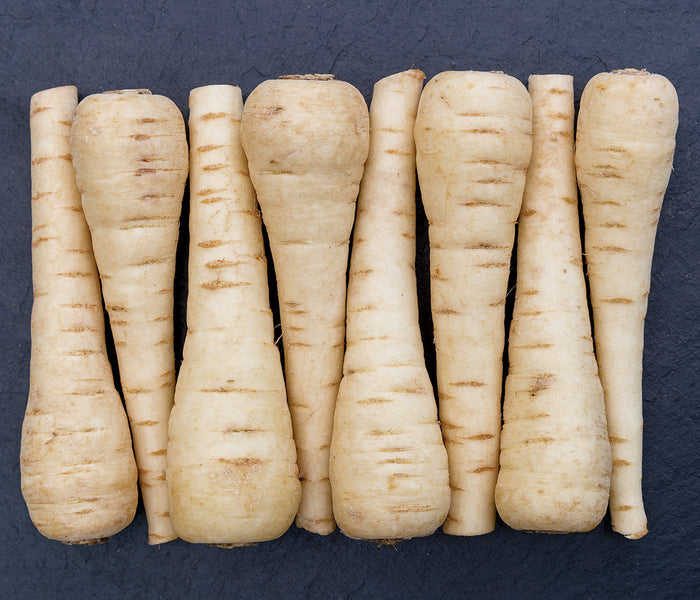 Top-down view of five Warrior parsnip roots showing smooth creamy white tapered roots on black background