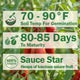Pomodoro Squisito Tomato