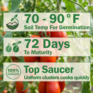 Pozzano Tomato