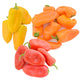 SWEETIE PEPPER SNACK PACK-PEPPER