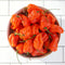 Front view of Mild Thing heatless habanero plant showcasing blocky orange-to-red peppers with green foliage
