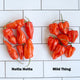 Close-up of Mild Thing pepper clusters showing smooth waxy red fruits on white tiled background