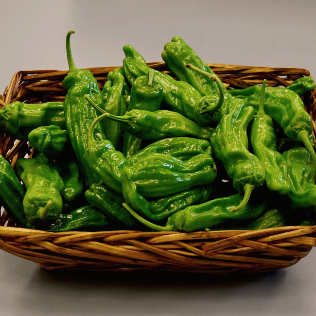 Close-up of Mellow Star shishito peppers showing wrinkled green pods in a woven basket