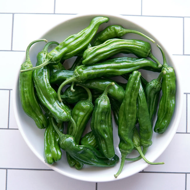 Top-down view of Mellow Star shishito peppers showing wrinkled green 3–4 inch pods in a white bowl on a tiled background