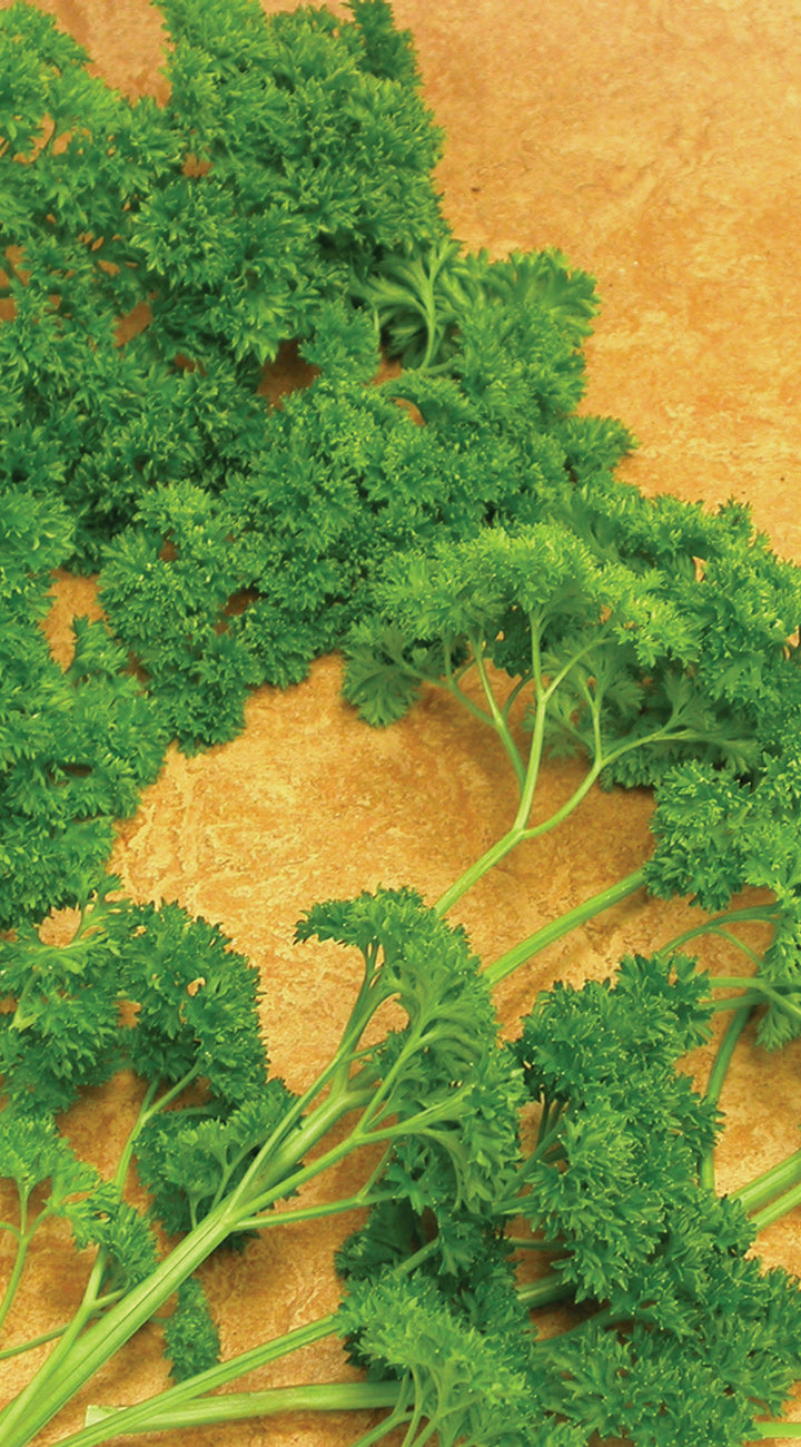 Fresh green parsley leaves on a brown cutting board