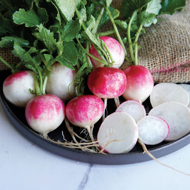 Close-up of Red Head radishes showing bright pink crowns and white bottoms with sliced rounds on a dark plate