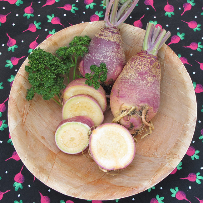 Top view of Marian rutabaga roots showcasing yellow flesh and purple tops on a round plate