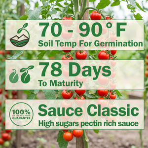 San Marzano Tomato