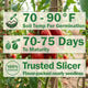 Close-up of Siletz slicing tomatoes showing deep red 4 to 5 inch fruits on cloth background