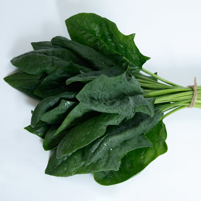 Front view of Imperial Valley spinach leaves showing deep green, upright crinkled leaves on white background