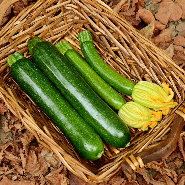 Green cash machine zucchinis with flowers on a woven basket