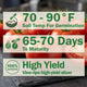 STM225 Tomato