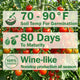 Sweet Aperitif Tomato