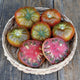Front view of Cappuccino tomato showing dark chestnut-red color, spruce-green shoulders and pleated beefsteak shape on light background