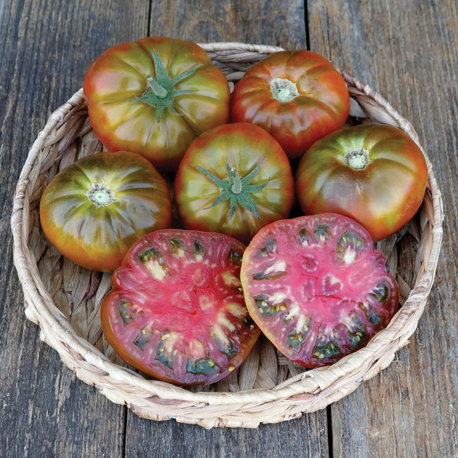 Front view of Cappuccino tomato showing dark chestnut-red color, spruce-green shoulders and pleated beefsteak shape on light background