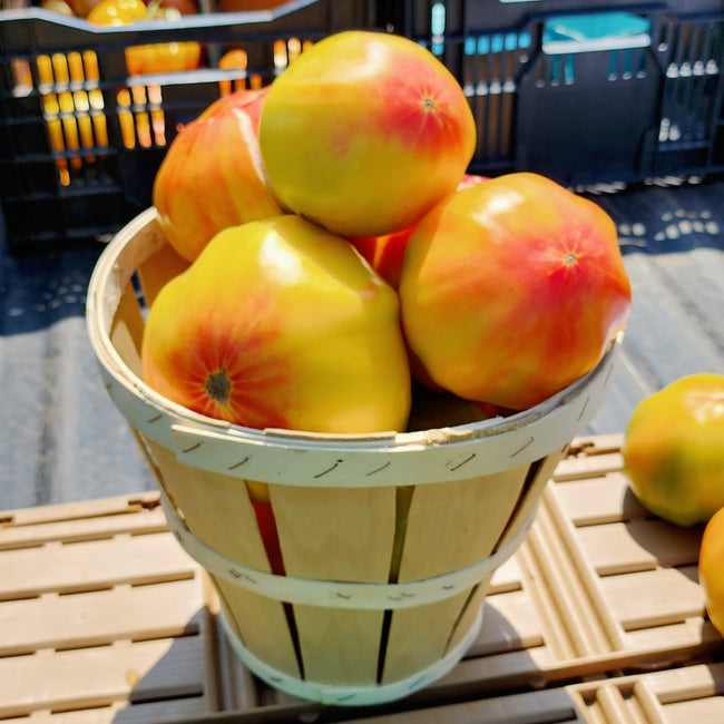 Front view of Ginfiz tomatoes in a wooden basket showing yellow-to-red striped fruit and smooth skin on a market table background