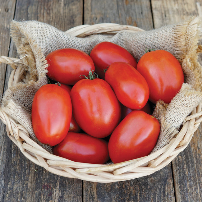 Top view of Kuzco tomato saladettes showing smooth oblong red fruits in a burlap-lined wicker basket on a wooden table