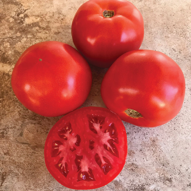 Front view of STM2255 slicing tomatoes showcasing three whole red fruits and one sliced to show the interior on a light background