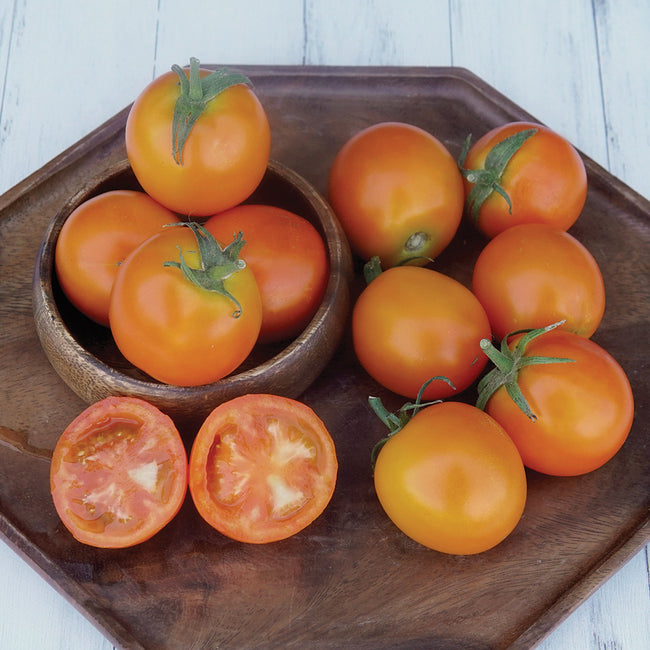 Close-up of Jaune Flamme tomato fruits showing deep orange color and sliced interiors in a wooden bowl