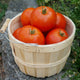 Close-up of Umpqua Beauty heirloom tomatoes in a wooden bushel basket showing smooth red fruit with stone and foliage background
