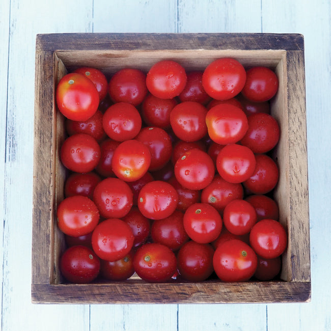 Close-up of Crokini cherry tomatoes in a wooden bowl showing vivid red, glossy, bite-sized fruit on a countertop