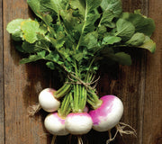 Top-down view of Fort Umpqua turnips showing pink-and-white roots and leafy green tops on a rustic wood background