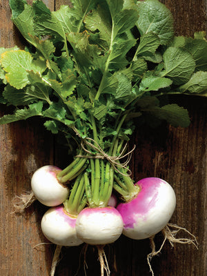 Top-down view of Fort Umpqua turnips showing pink-and-white roots and leafy green tops on a rustic wood background