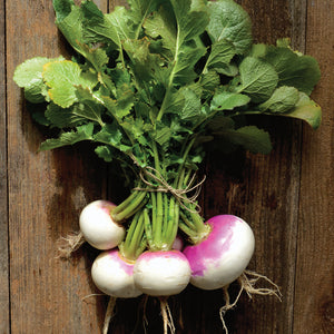 Top-down view of Fort Umpqua turnips showing pink-and-white roots and leafy green tops on a rustic wood background