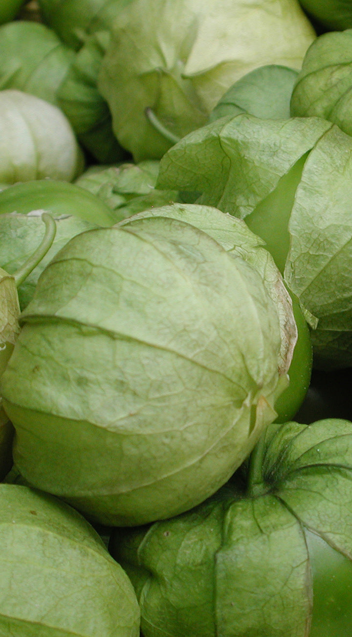 Close-up of green tomatillos with a blurred background