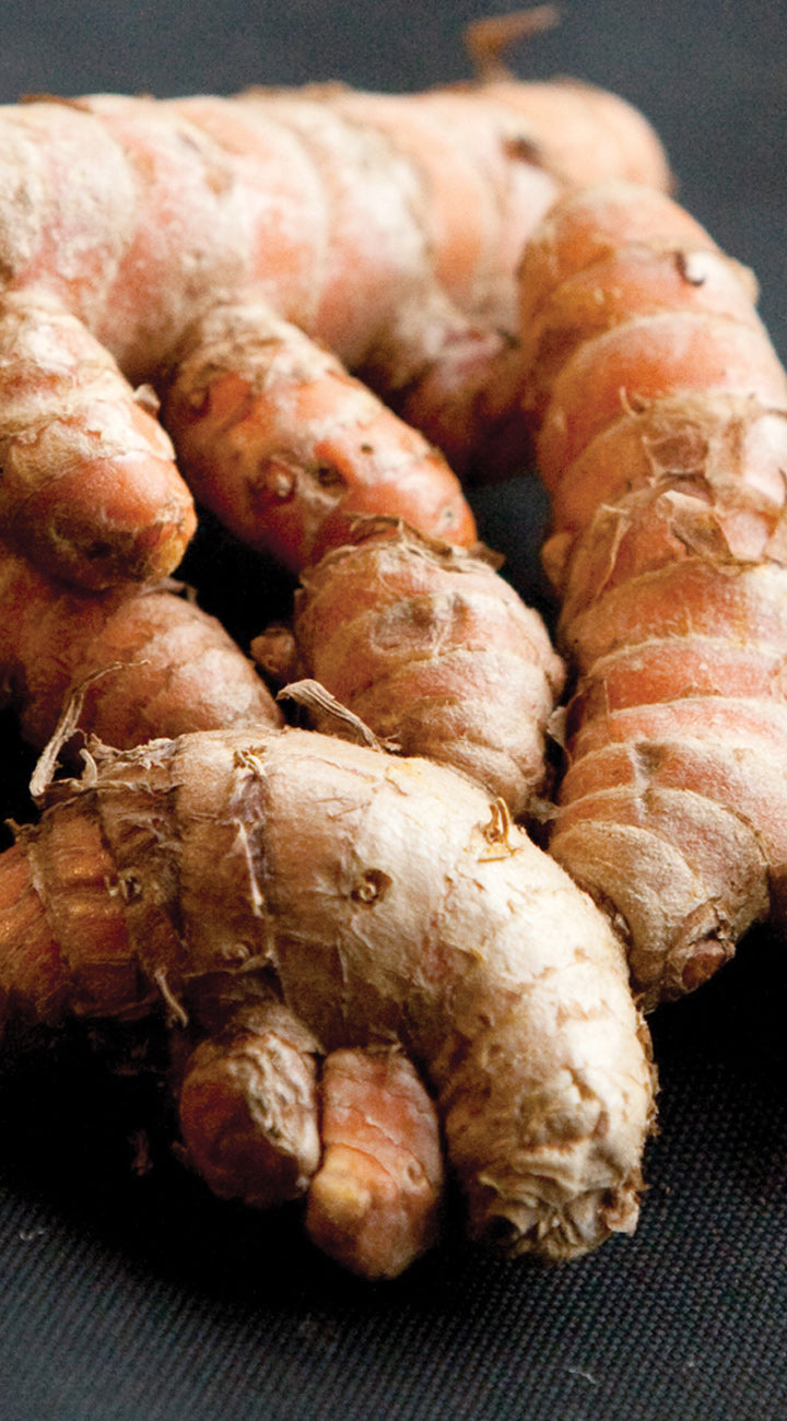 Close-up of turmeric roots on a dark surface