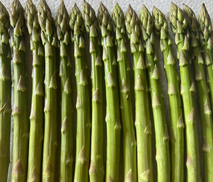 Close-up of Walker Deluxe asparagus spears showing tight green heads with purplish tips on a white textured background